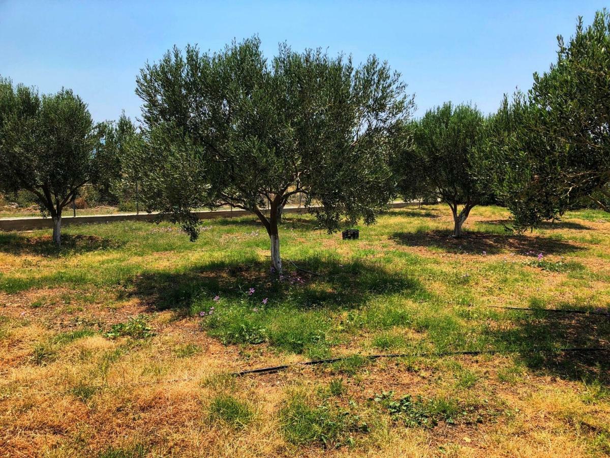 The Hillhouse Near Alexandroupolis Villa Exteriör bild