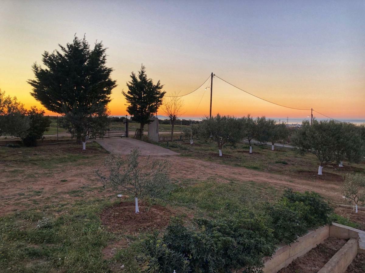 The Hillhouse Near Alexandroupolis Villa Exteriör bild